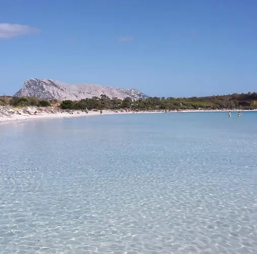 La Coccinella Olbia