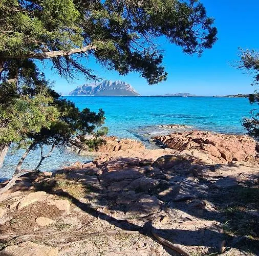 La Coccinella * Olbia